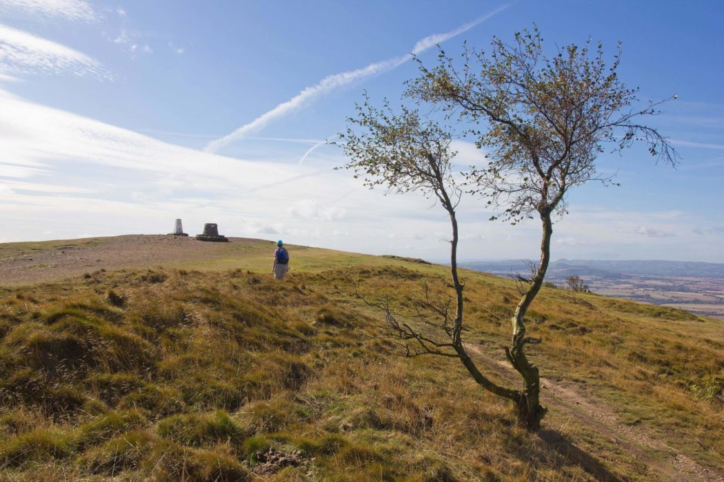 The Wrekin