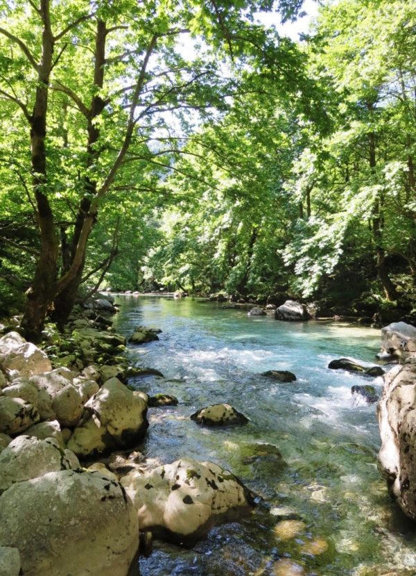 Voidhomatis Springs Vikos Gorge