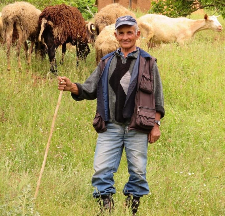 Shepherd Northern Greece