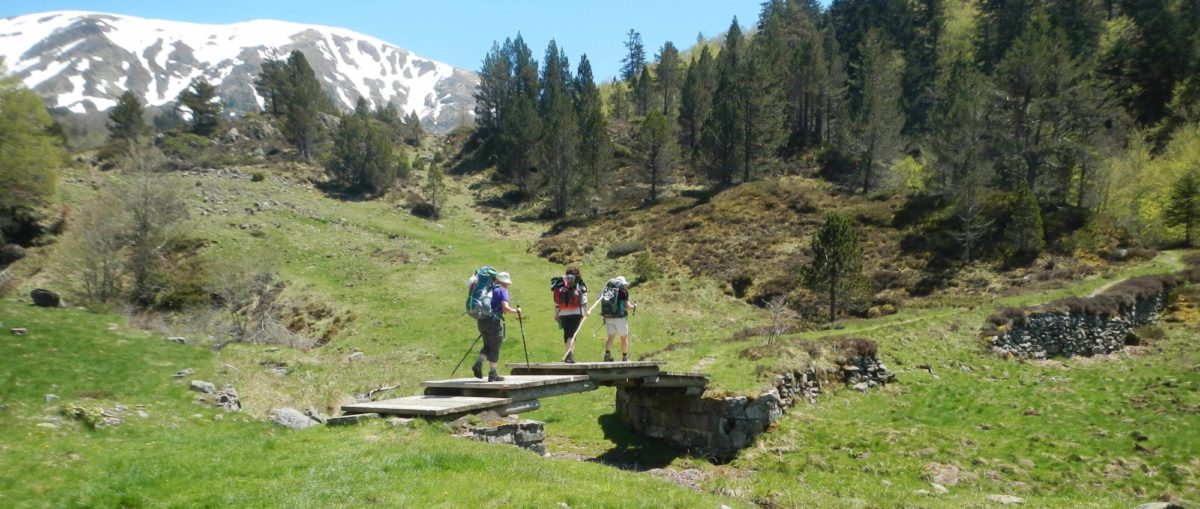 Camino 1