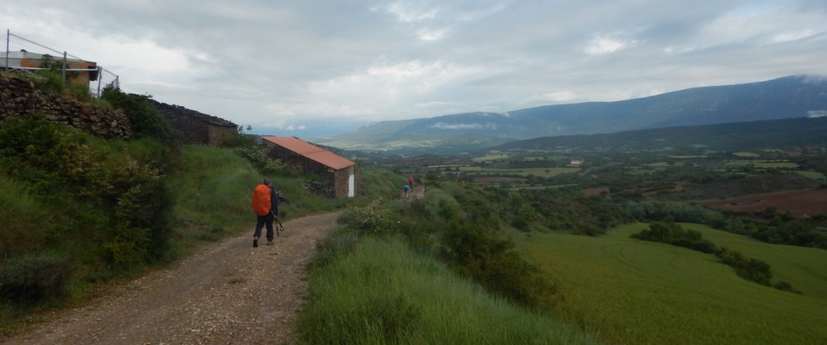 Camino 11
