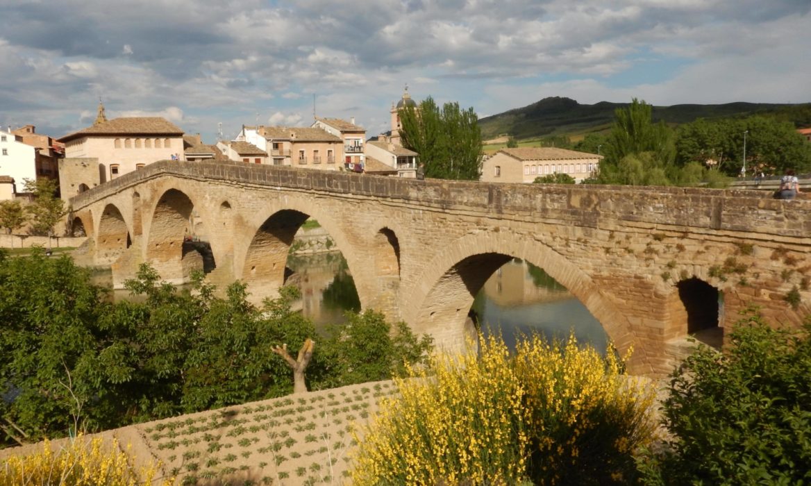 Camino 16