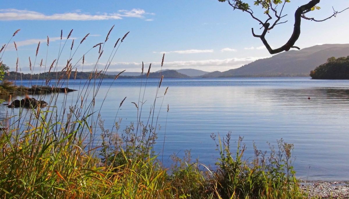 Lomond Late Afternoon