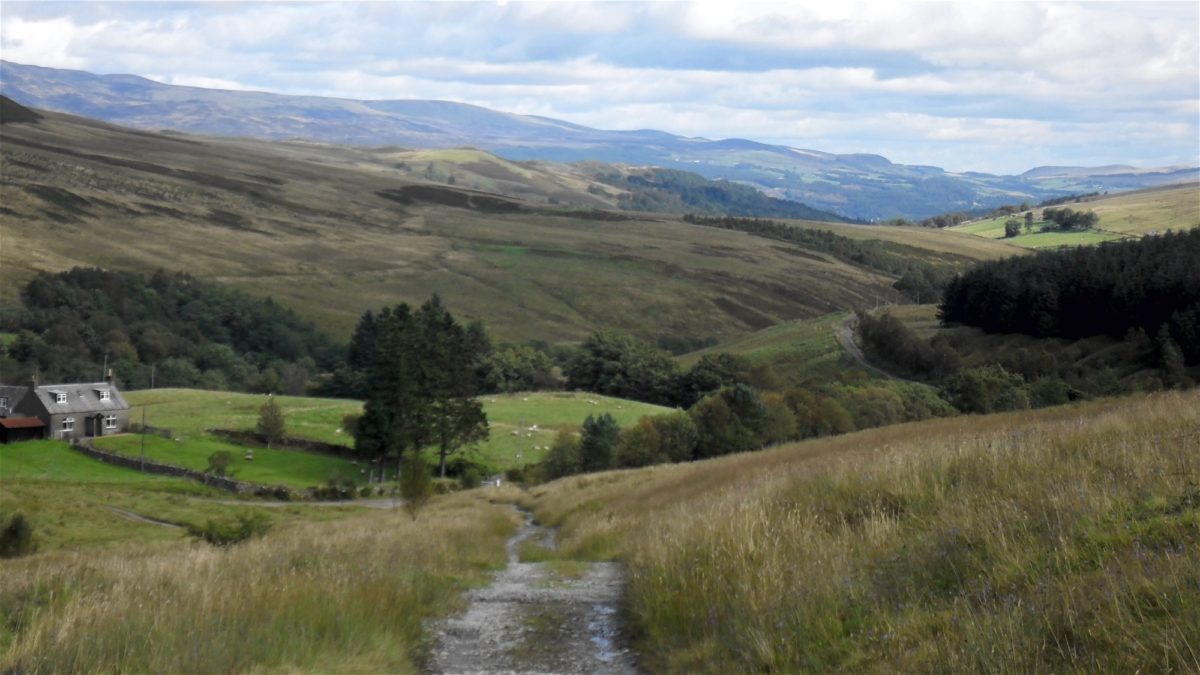 Eht Glen Artney Looking West