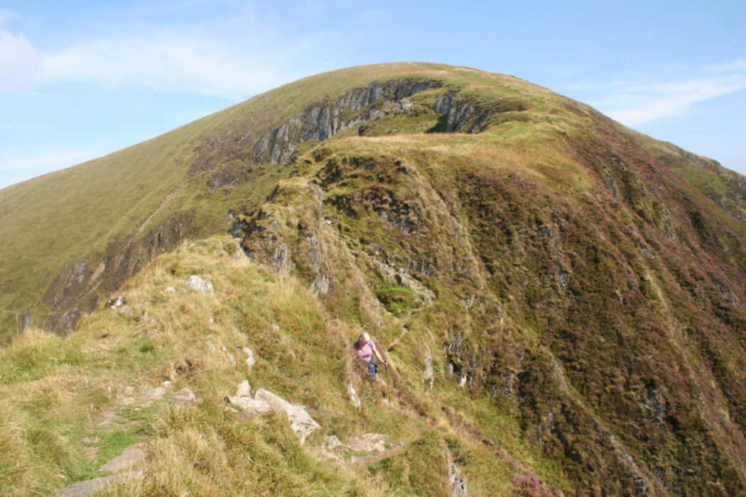 12 Narrowsaddle