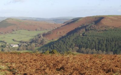 Offa's Dyke