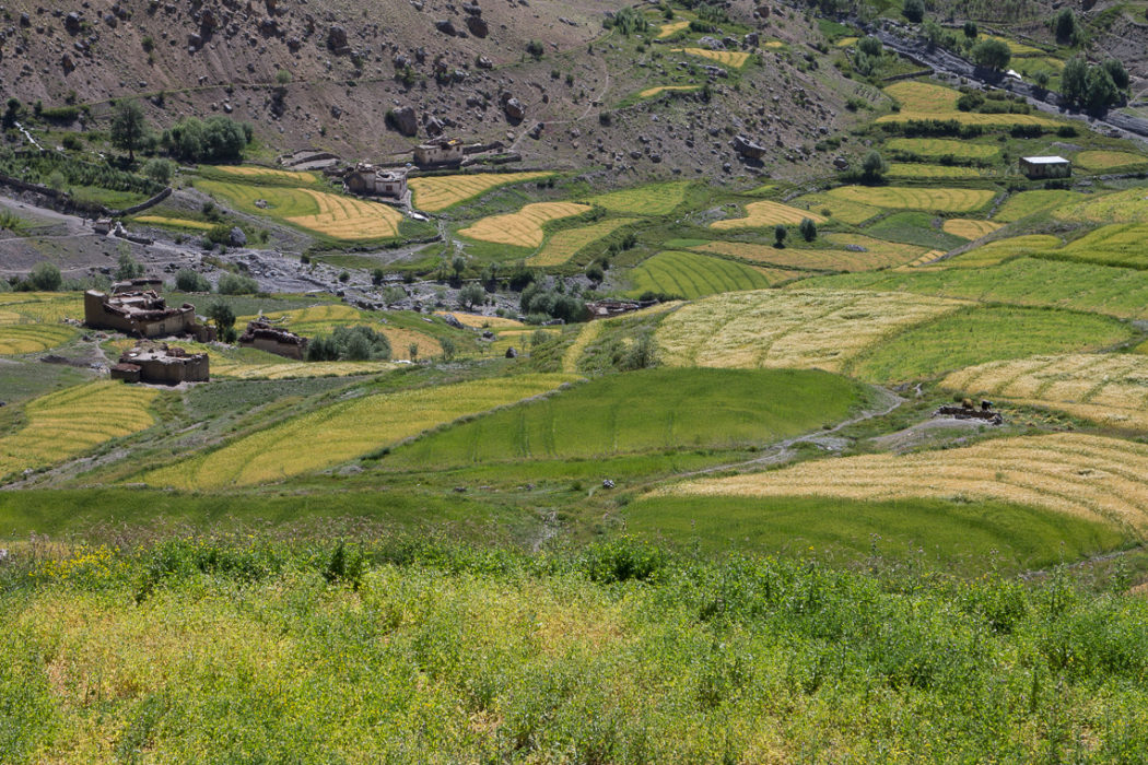Ladakh