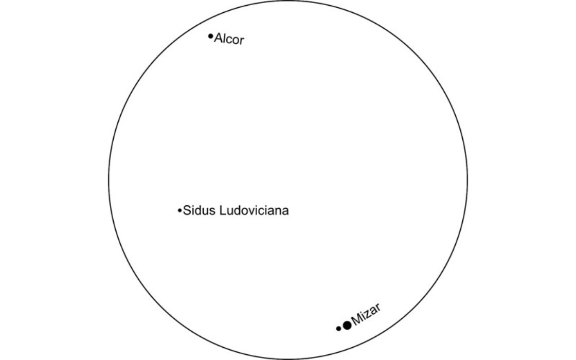 239004