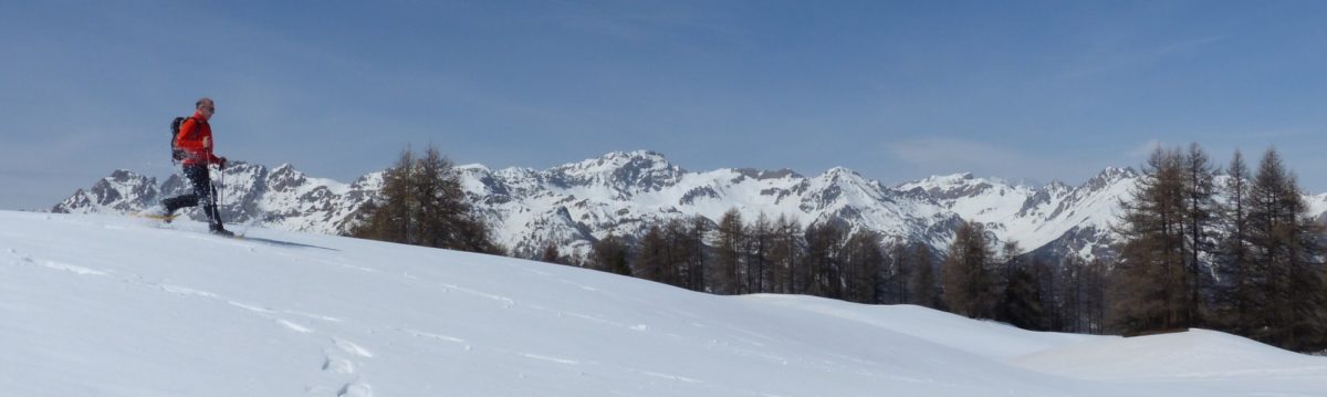 201008