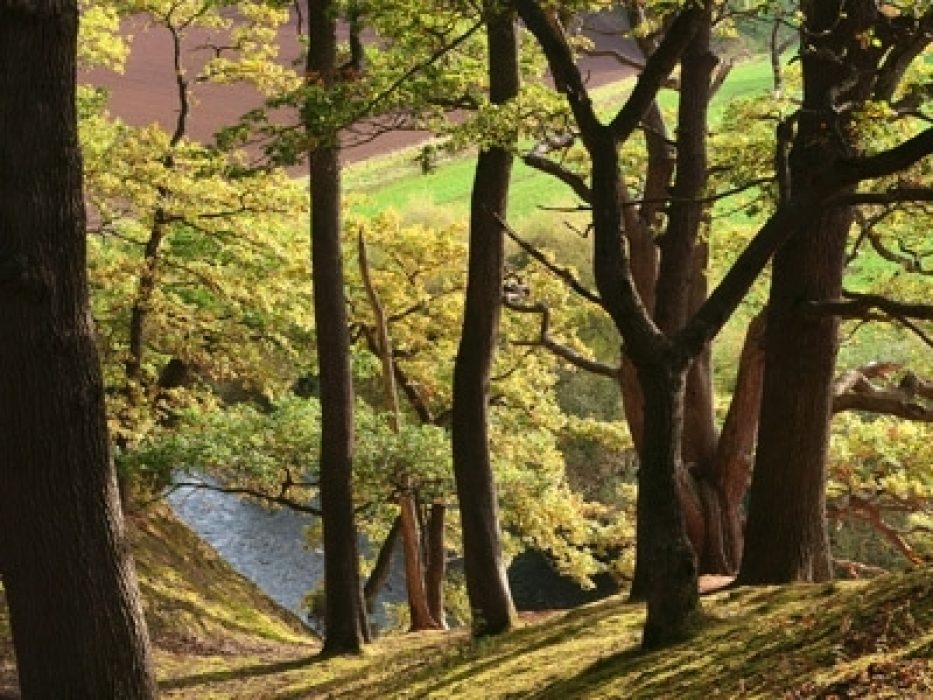 A long-distance walk close to London but it doesn't feel like it on the Wye Valley Walk