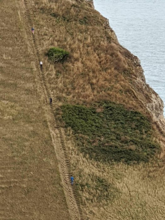 St Aldhelms Head on the South West Coast Path
