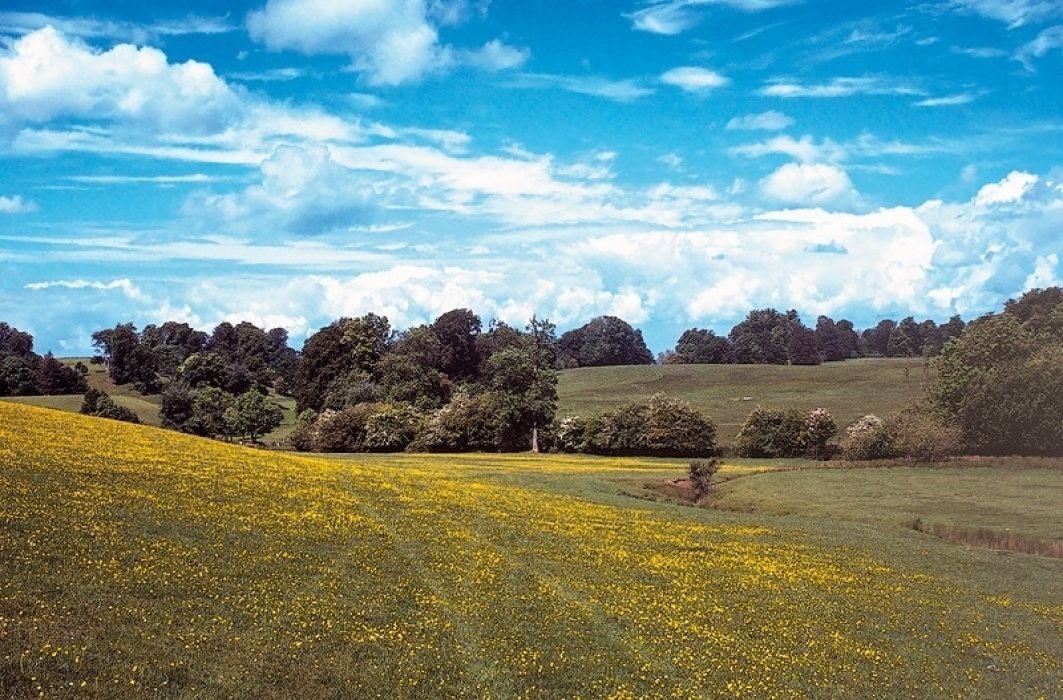 The Cotswold Way is a wonderful walking route for quintessentially English scenery like at Dodington Park