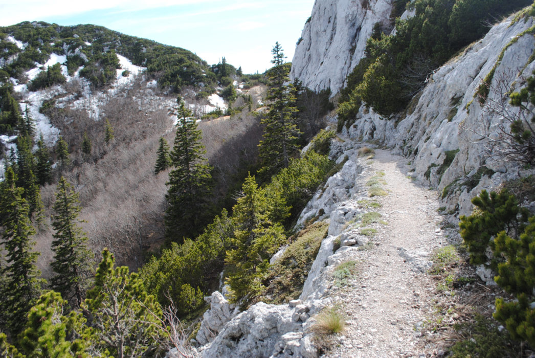 Premusiks Incredibly Built Trail