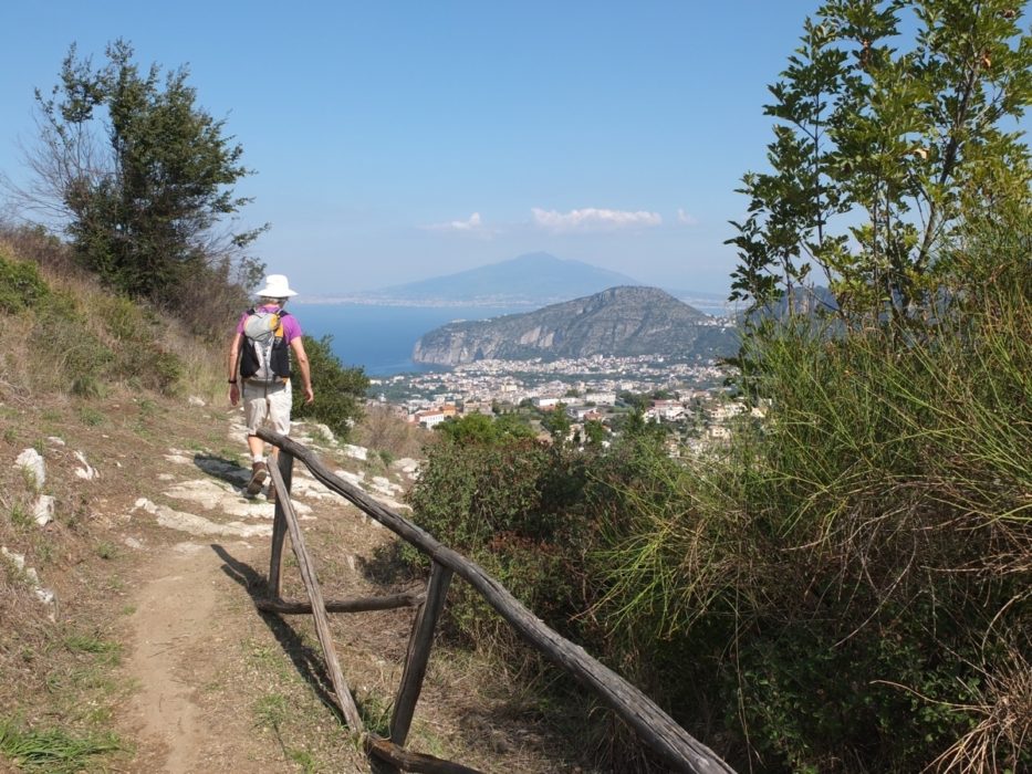 View To Vesuvius From The Siren Trail