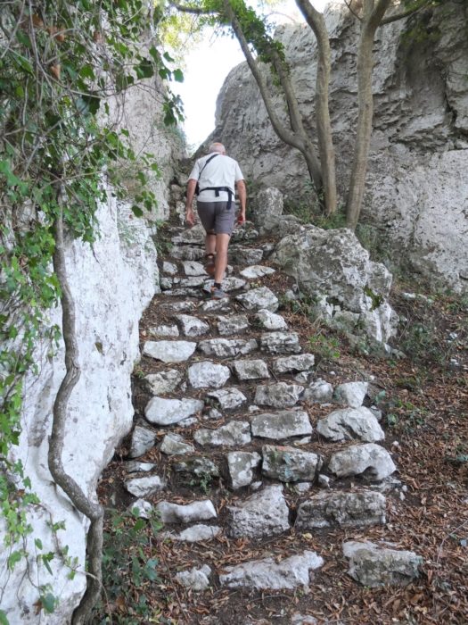 The Old Stone Steps Originally Constructed By Farmers Have Been Cleaned Up By A Neighbourhood Group