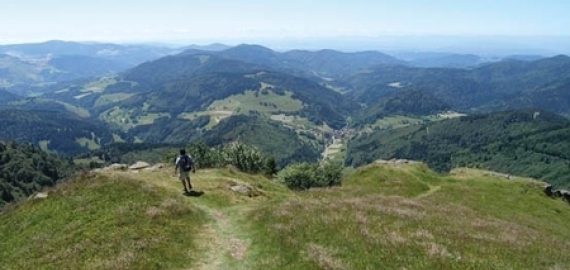 Visit Germany's Black Forest