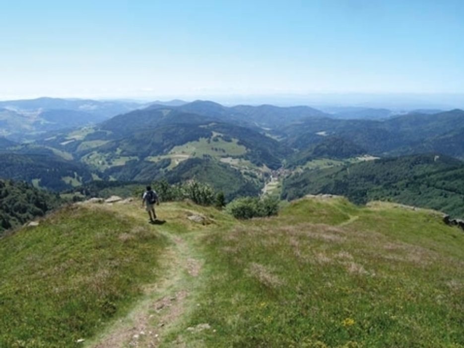 Hiking And Biking In Germanys Black Forest
