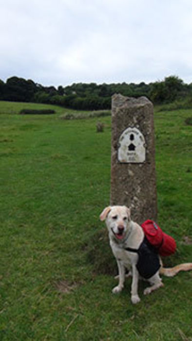Half Way Along The Cotswold Way