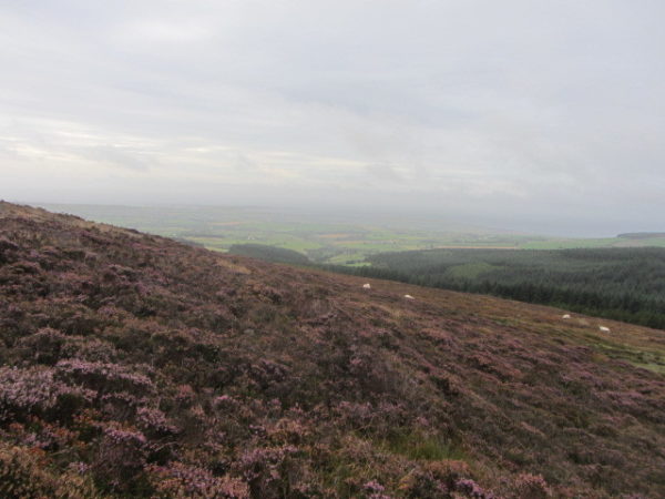 On The Slopes Of South Barrule Walk 3