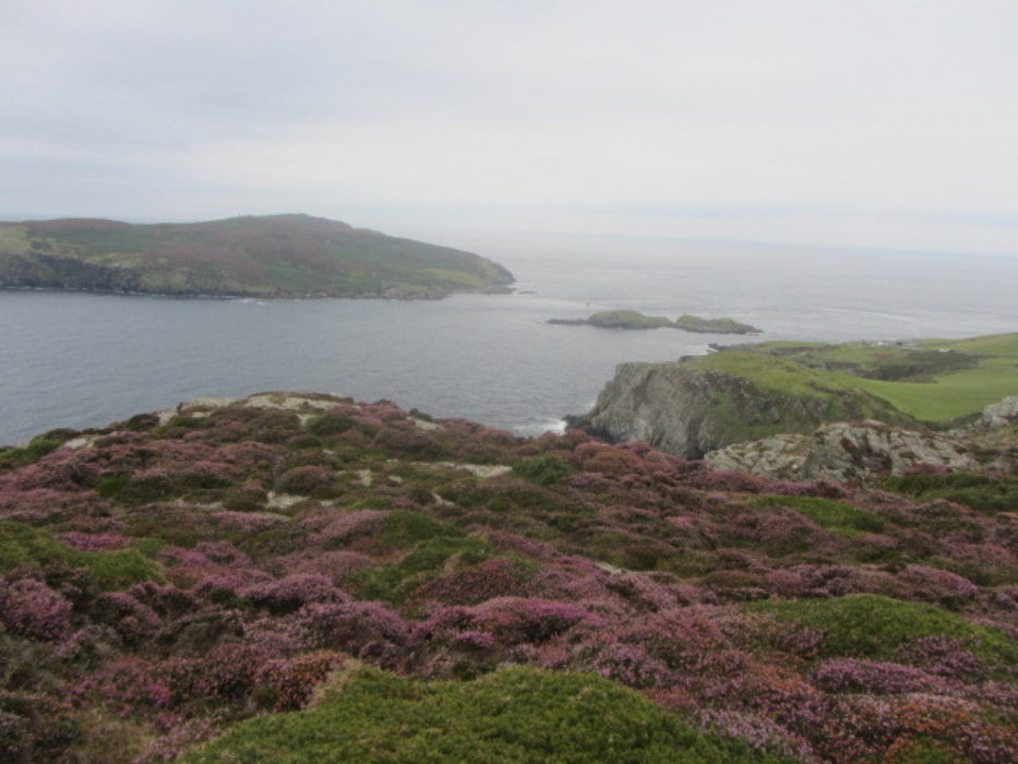 View Across The Sound Walk 1