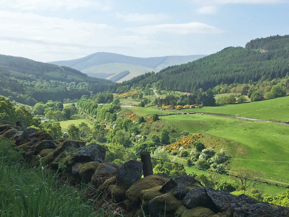 The Upper Tweed Valley