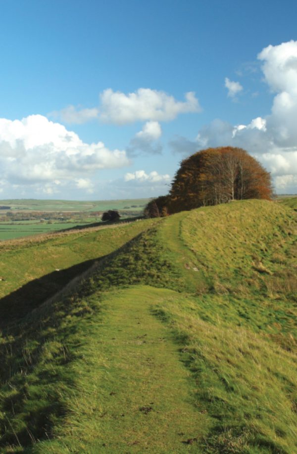 Lambourn Way Valley North Wessex Downs