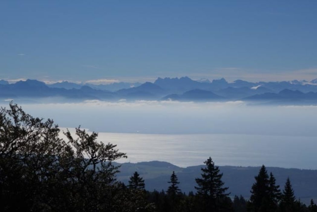 Mont Blanc from the Jura