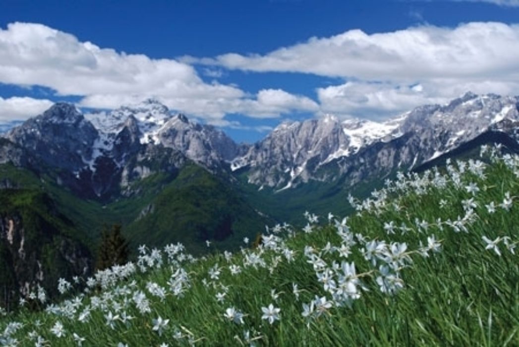 Karavanke