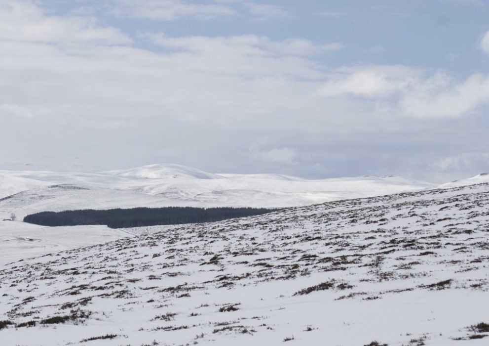 The Cairngorms