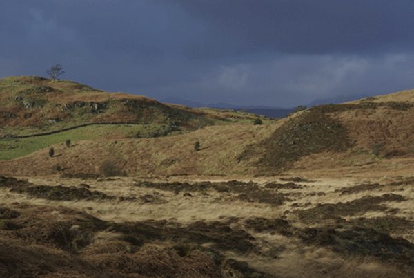 Backbarrow Lakeland Walks