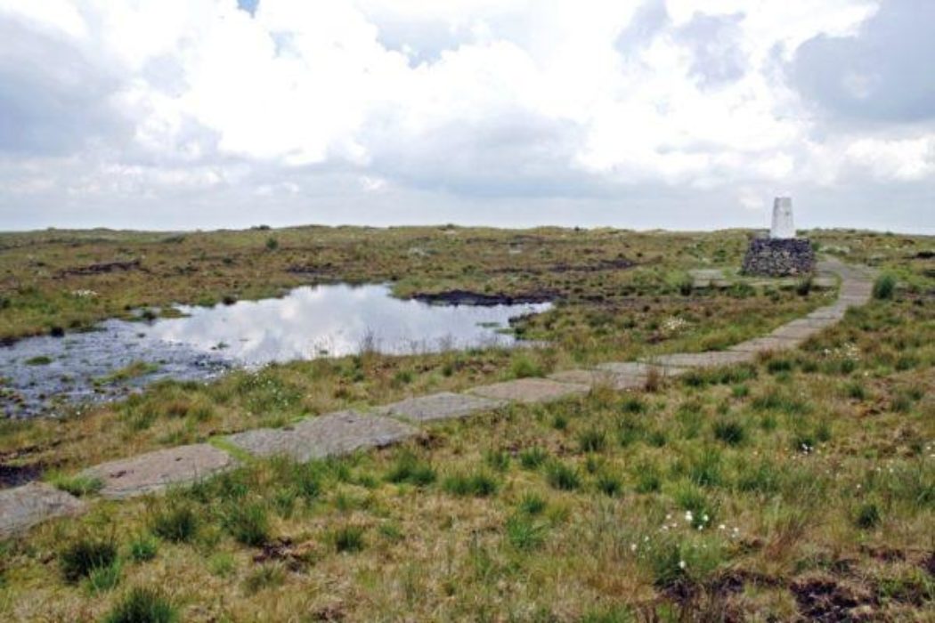 The regenerated summit of Black Hill