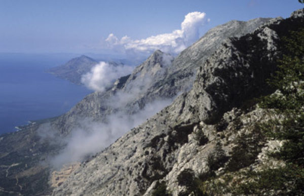 View Northwest From Below Motika