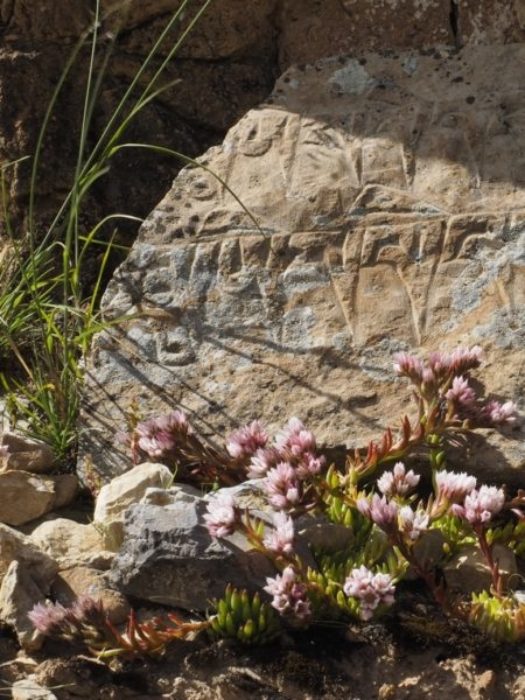 Mani Stone