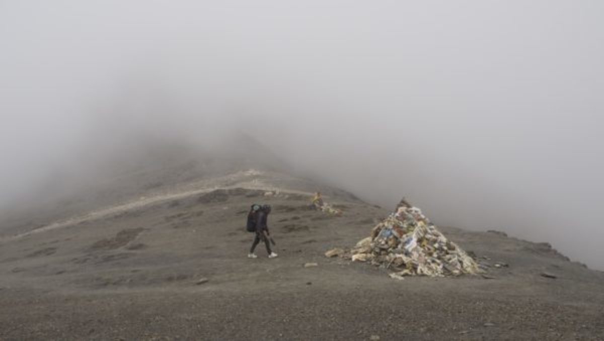 The Misty Jungben La 5557M Our Highpoint