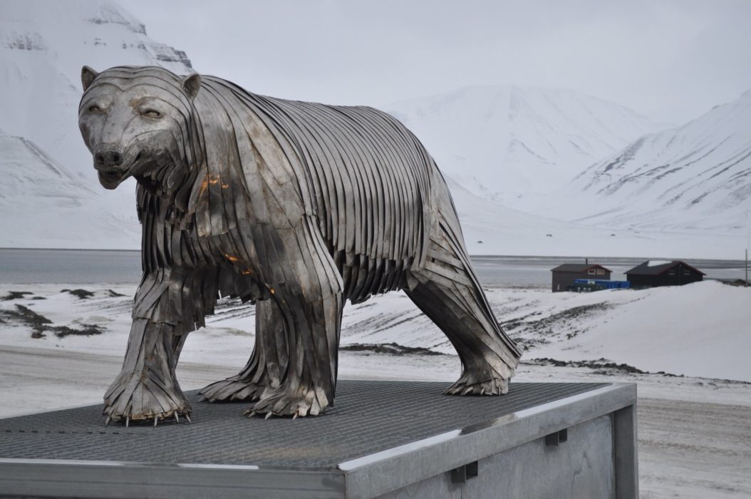 Polar bear