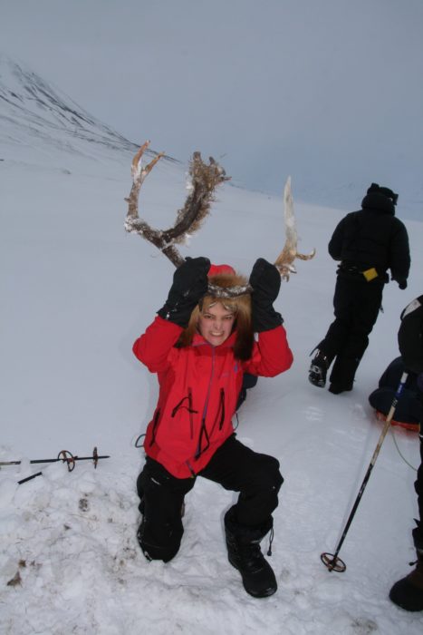 Reindeer antlers