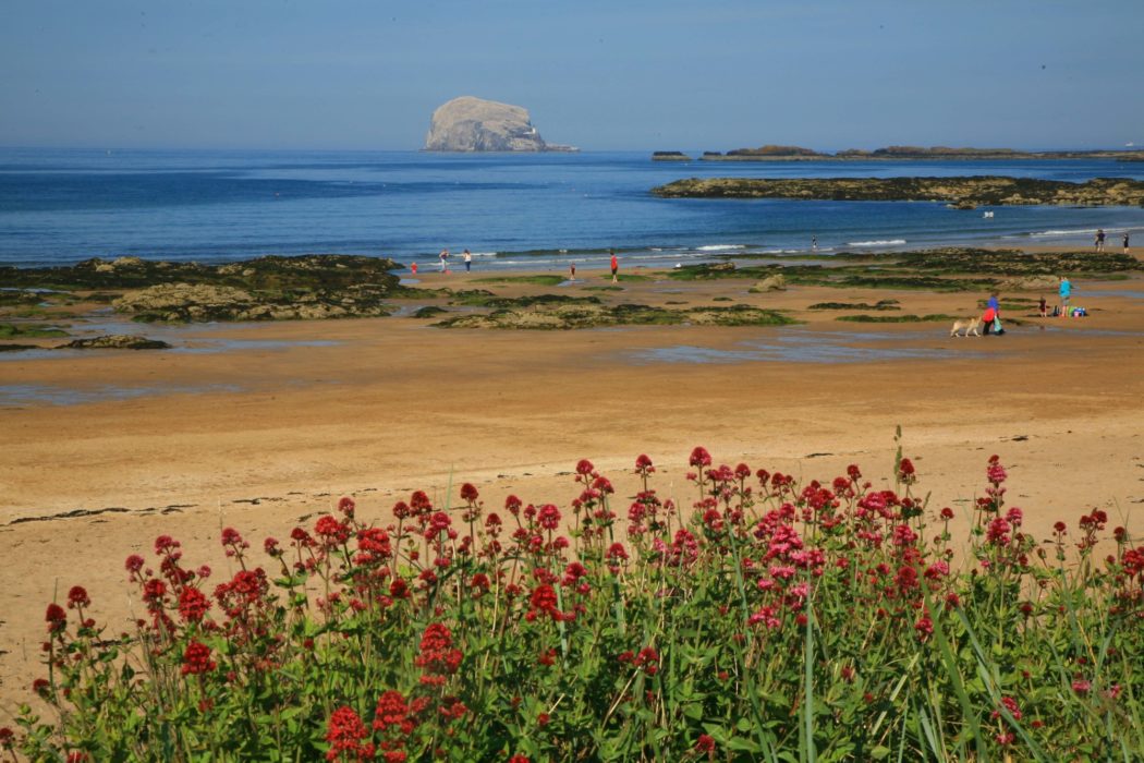 Bass Rock From Across The Sands