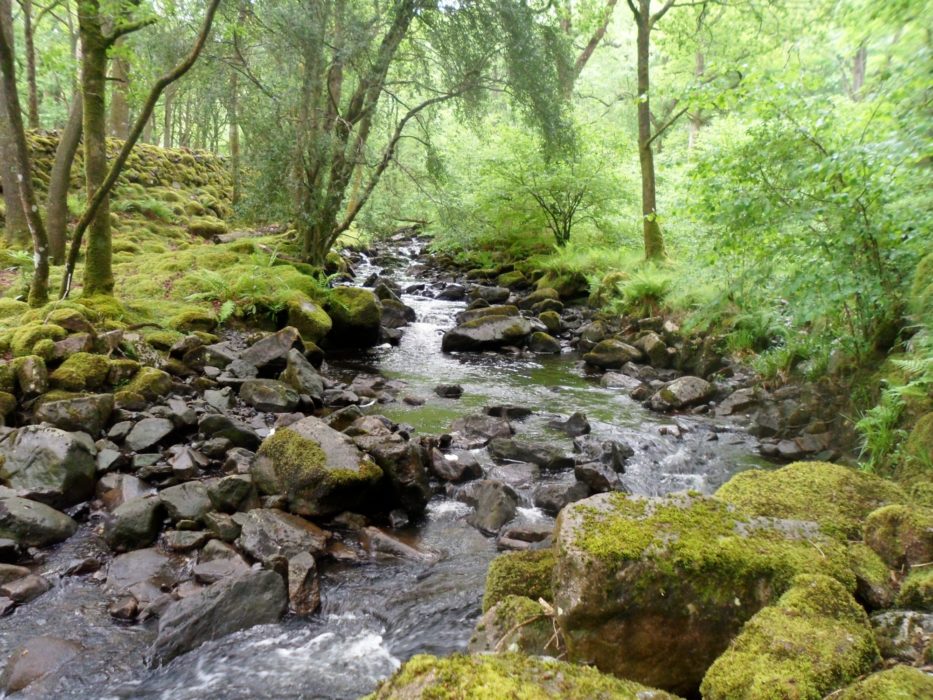 10 Eskdale