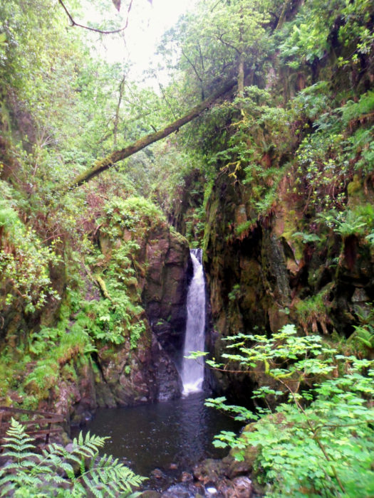 11 Stanley Ghyll Eskdale