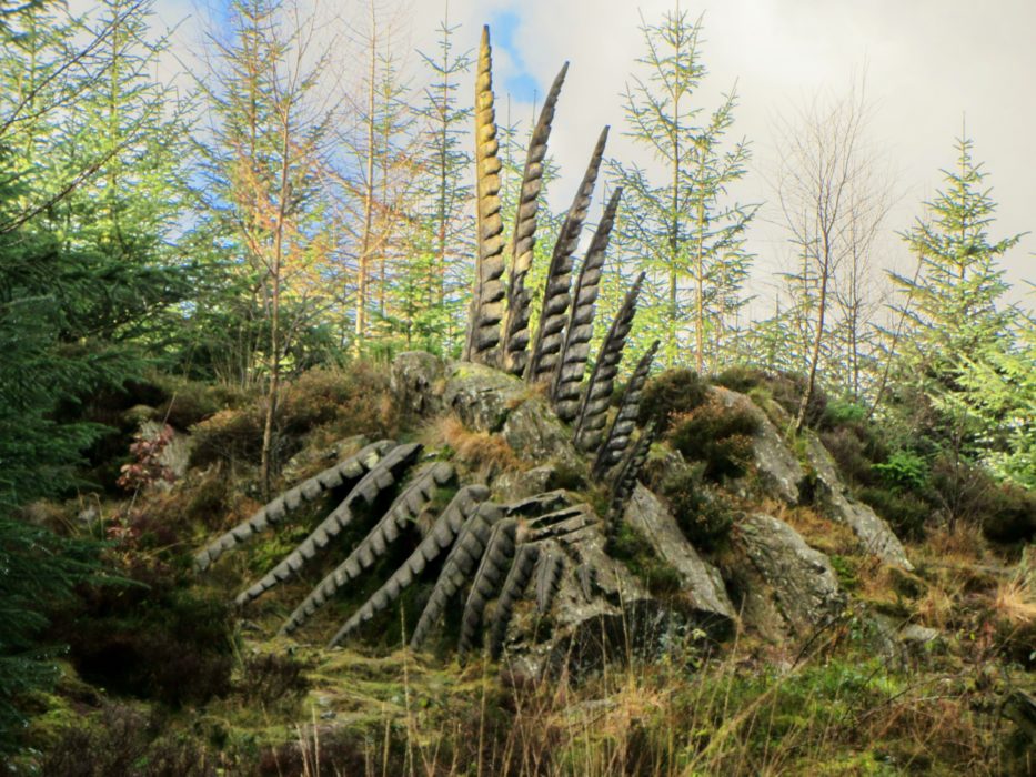 13 Some Fern A Sculpture By Kerry Morrison In Grizedale Forest