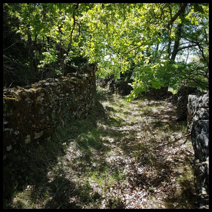 Day 18 The Old Ways In Aragon At Monesma De Benabarre
