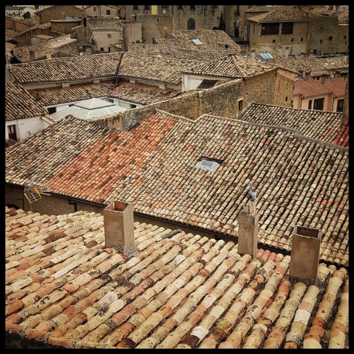 Day 28 A Rooftop View Of Sos Del Rey De Catolico