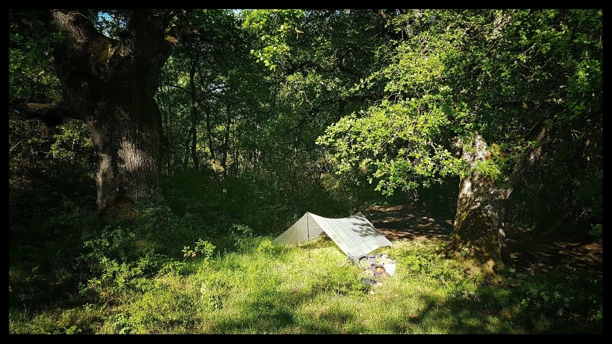 Day 33 Bivouac Near Santa Cruz De Campezo Guarded By Two Mighty Oaks