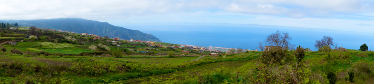 Tenerife Gr 131 62