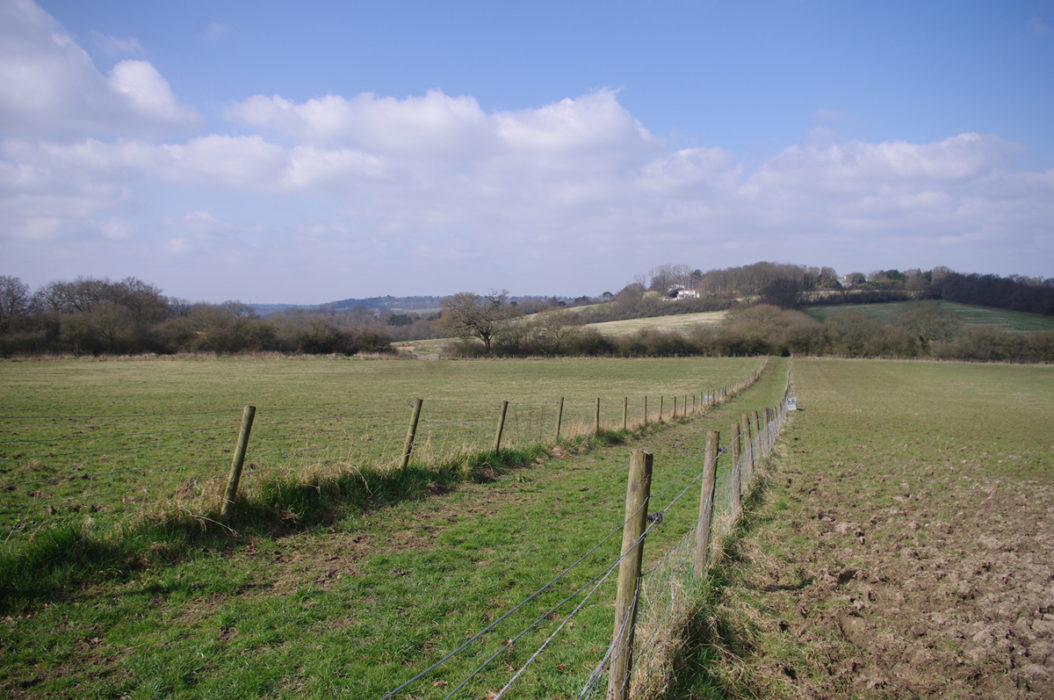 Moat Mount Above The Source Of The Dollis Brook