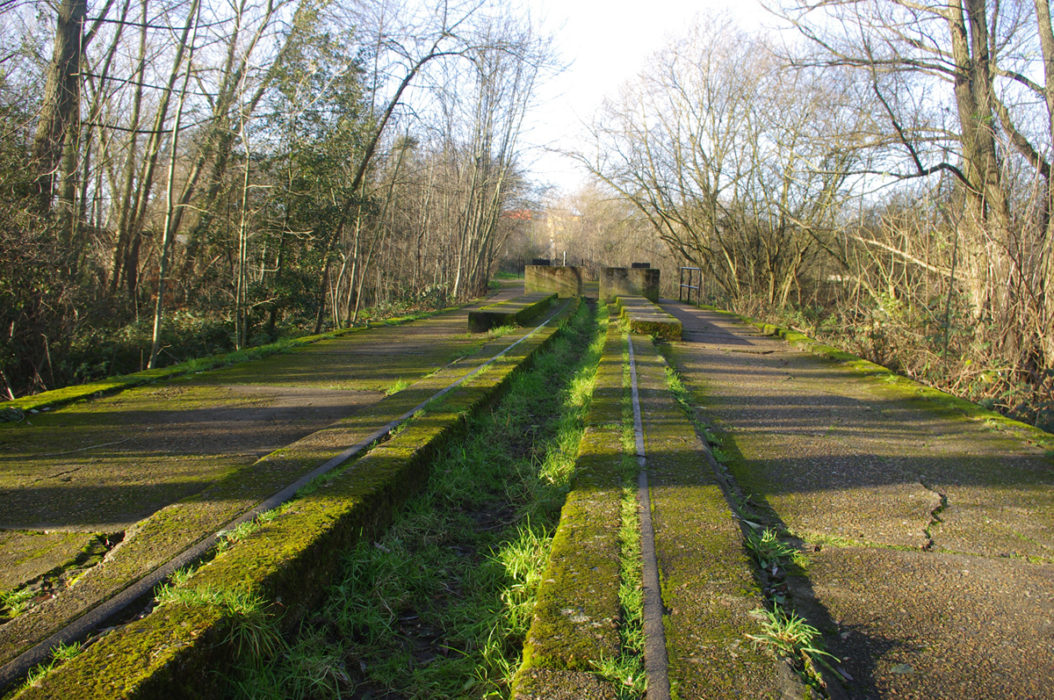 Middlesex Filter Beds