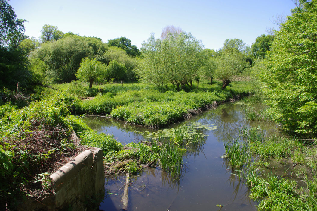 Crane Park Island
