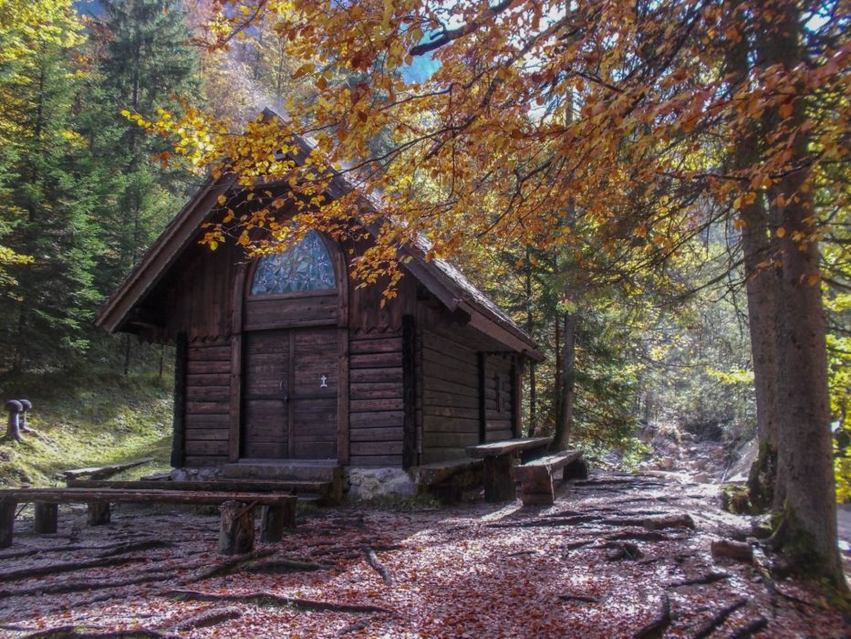 A Tiny Chapel Hidden In The Middle Of The Forest