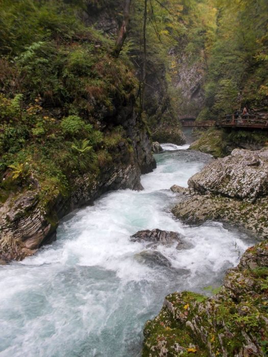 The Radnova Flowing Through The Vintgar Gorge