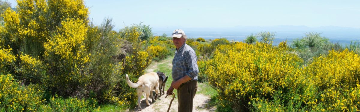 6 The Friendly Farmer And His Dogs Cover